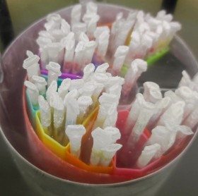 Bonne nouvelle pour toutes nos patientes en parcours de PMA à la Polyclinique de Besançon !