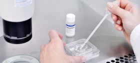 Embryoglue - Promoteur d'implantation embryonnaire